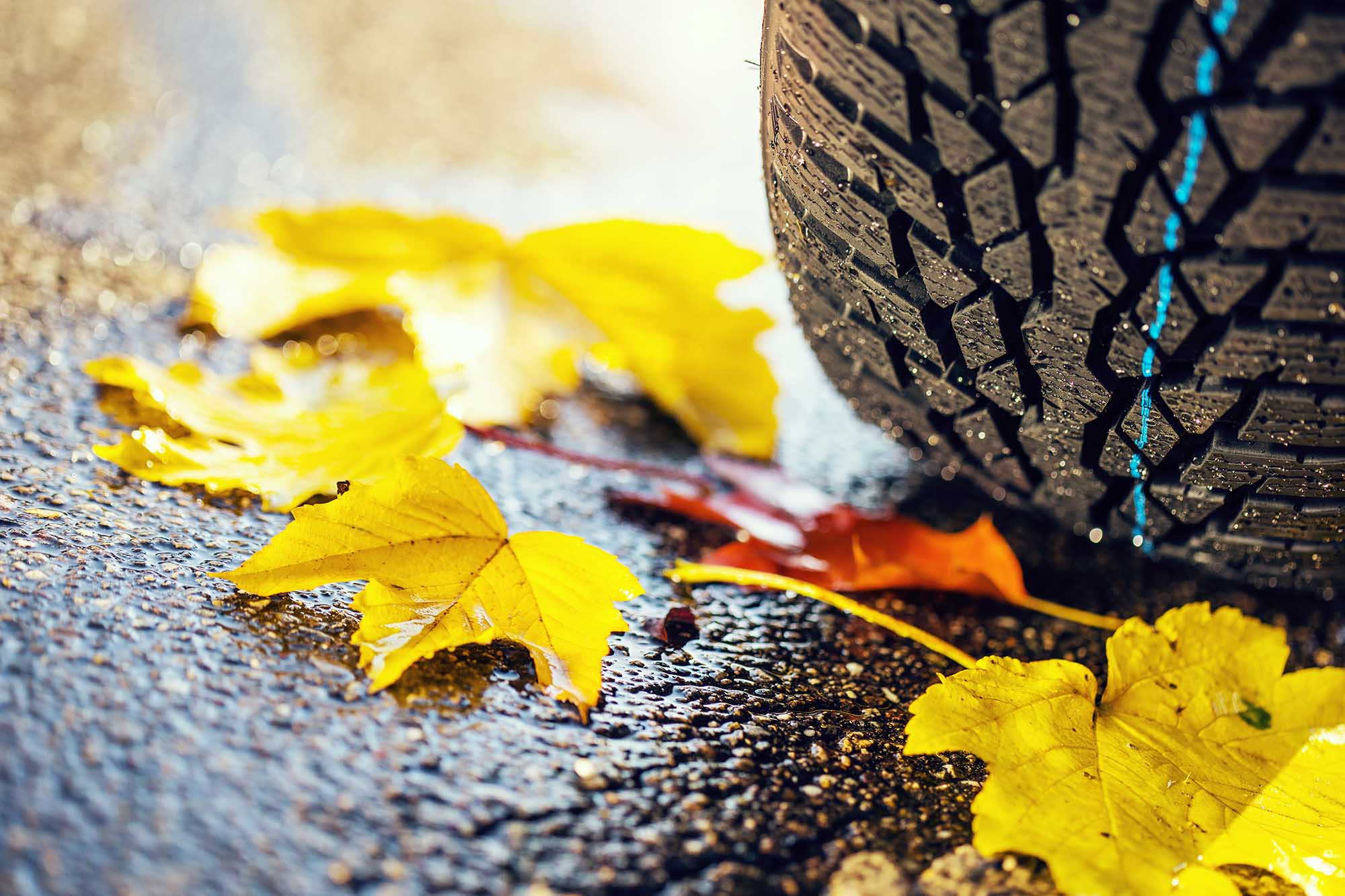 Valime aastaringsed rehvid